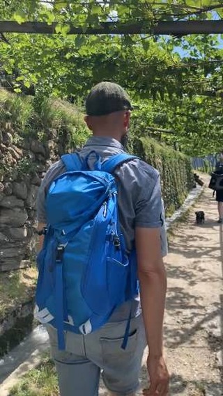 Teil 2: Was macht der Chef im Urlaub?

Spazieren unter Weinreben